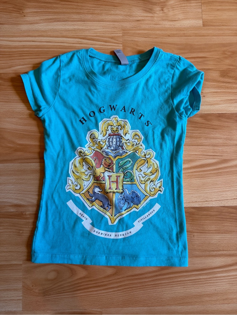 Kid’s Teal Harry Potter Hogwarts Houses Tshirt Size Small